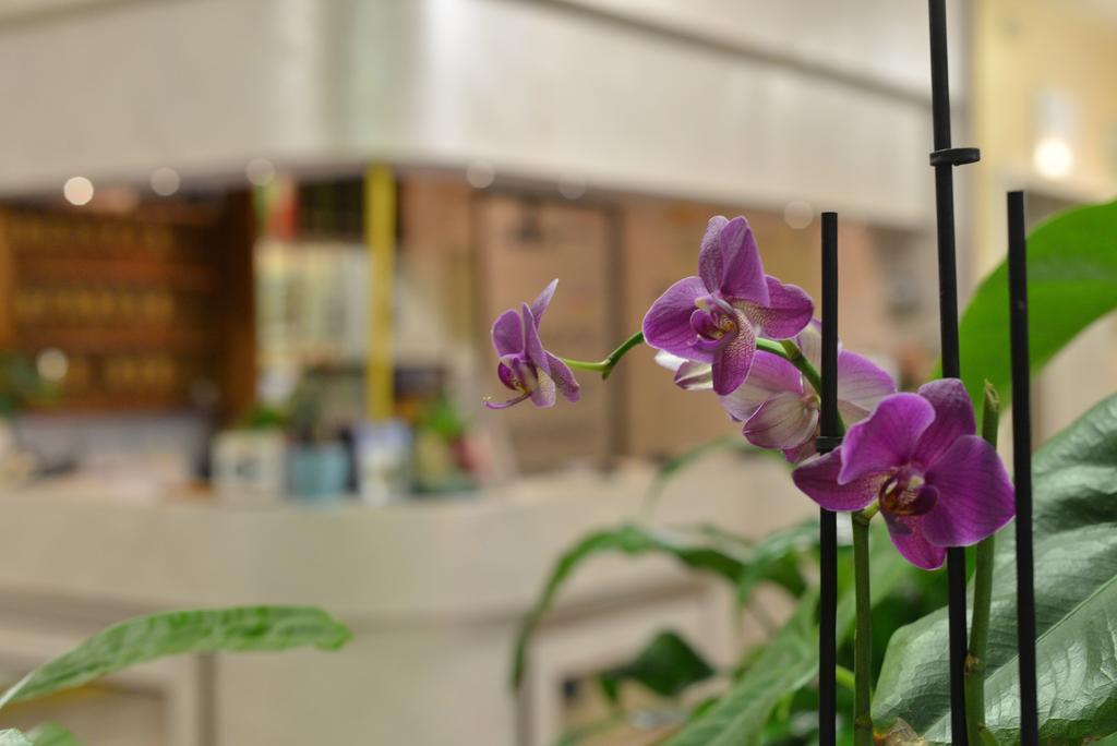Hotel Marselli Rimini Zewnętrze zdjęcie