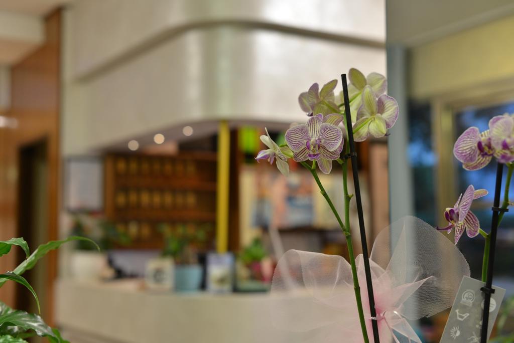 Hotel Marselli Rimini Zewnętrze zdjęcie